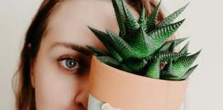 Mlada žena nakon spontanog pobačaja zakopala bebu u posudu sa sobnom biljkom