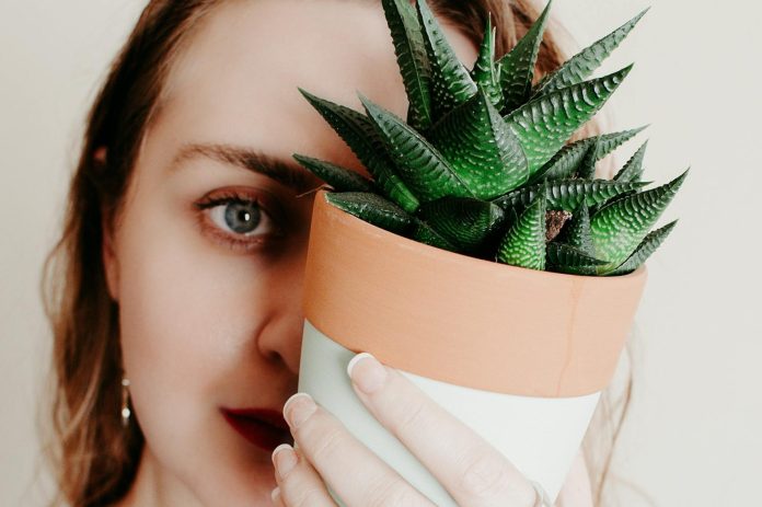 Mlada žena nakon spontanog pobačaja zakopala bebu u posudu sa sobnom biljkom