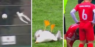 Golman je loptom pogodio pticu