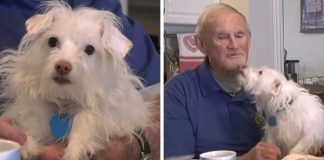 Umirovljeni policajac se poskliznuo i nezgodno pao, a onda je susjedin pas učinio nešto nevjerojatno