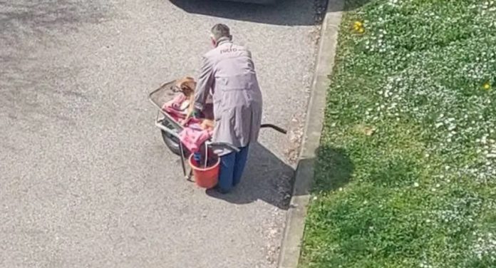 Ono što ovaj vlasnik radi za bolesnog psa ostavlja bez riječi