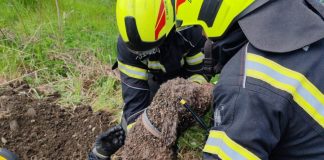 Zagrebački vatrogasci spasili psa koji je upao u duboki šaht