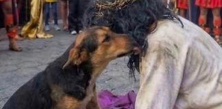 Pas lutalica prekinuo uprizorenje Isusove muke kako bi utješio “Spasitelja”