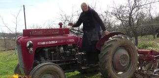 Baka Pavlika u devetom desetljeću života vozi traktor