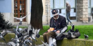 Pula se oprašta od čovjeka kojeg su svakodnevno pratili golubovi