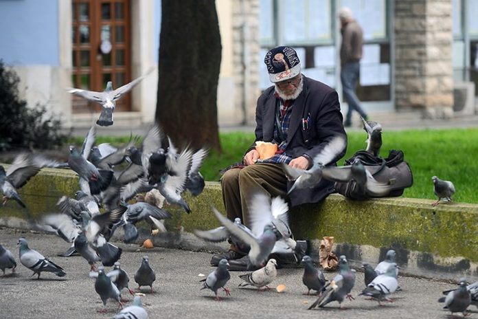 Pula se oprašta od čovjeka kojeg su svakodnevno pratili golubovi