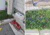 Svećenik komentirao vjenčanje zbog konfeta, mladoženja mu odmah odgovorio Svećenik komentirao vjenčanje zbog konfeta, mladoženja mu odmah odgovorio