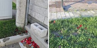 Svećenik komentirao vjenčanje zbog konfeta, mladoženja mu odmah odgovorio Svećenik komentirao vjenčanje zbog konfeta, mladoženja mu odmah odgovorio