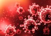 Smrtonosni virus potvrđen na sjeveru Njemačke, nema lijeka