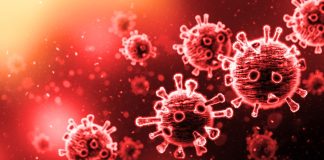 Smrtonosni virus potvrđen na sjeveru Njemačke, nema lijeka