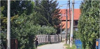 Otac troje djece preminuo nakon stravičnog napada roja osa