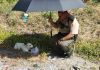 Policajac otvorio kišobran iznad psa, a razlog je pokorio društvene mreže