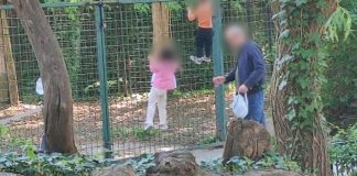 Zagrebački Zoološki vrt objavio fotografiju i poslao hitno upozorenje