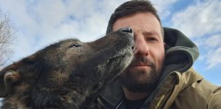 Uginuo je policijski pas Franz, njegov vodič oprostio se dirljivom objavom Uginuo je policijski pas Franz, njegov vodič oprostio se dirljivom objavom