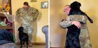 Slijepi pas prepoznao svog vlasnika vojnika nakon mjeseci razdvojenosti
