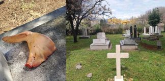 Užas u Mostaru: Netko bacio svinjsku glavu na mjestu gdje su pokopane žrtve rata