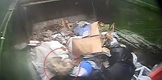 Vozač kamiona primijetio da se nešto pomiče u smeću i na kraju je spasio život