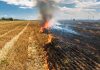 Visoke temperature pale Mađarsku, građani dobili važno upozorenje