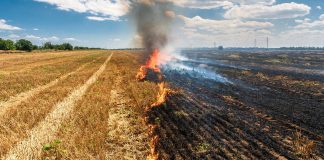 Visoke temperature pale Mađarsku, građani dobili važno upozorenje