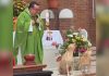 Video koji je osvojio milijune: Svećenik zapjevao, a njegovi psi postali zvijezde Video koji je osvojio milijune: Svećenik zapjevao, a njegovi psi postali zvijezde