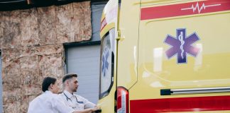 Strašan napad: Roj stršljena izbo ženu po glavi Strašan napad: Roj stršljena izbo ženu po glavi